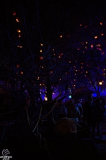 Halloween Horror Nights 2025