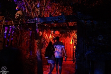 Halloween Horror Nights 2025