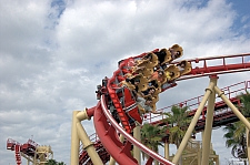 Hollywood Rip, Ride, Rockit