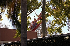 Hollywood Rip, Ride, Rockit