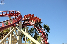 Hollywood Rip, Ride, Rockit