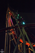 Hollywood Rip, Ride, Rockit