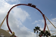 Hollywood Rip, Ride, Rockit