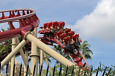 Hollywood Rip, Ride, Rockit