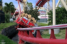 Hollywood Rip, Ride, Rockit