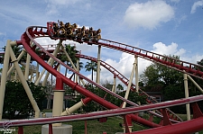 Hollywood Rip, Ride, Rockit