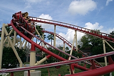 Hollywood Rip, Ride, Rockit