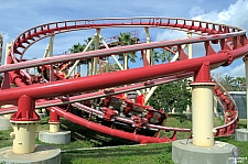 Hollywood Rip, Ride, Rockit