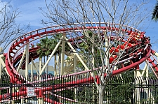 Hollywood Rip, Ride, Rockit