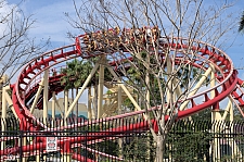 Hollywood Rip, Ride, Rockit