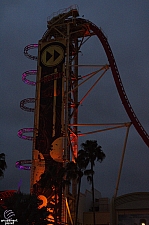 Hollywood Rip, Ride, Rockit