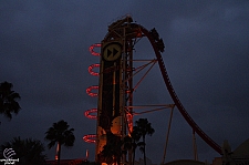 Hollywood Rip, Ride, Rockit