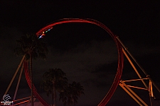 Hollywood Rip, Ride, Rockit