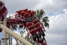 Hollywood Rip, Ride, Rockit