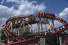 Hollywood Rip, Ride, Rockit