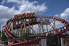 Hollywood Rip, Ride, Rockit