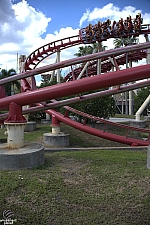 Hollywood Rip, Ride, Rockit