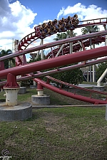 Hollywood Rip, Ride, Rockit