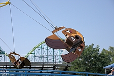 Flying Eagles