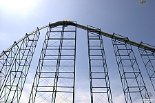 Wild Thing