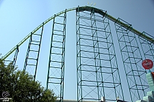 Wild Thing