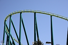 Wild Thing