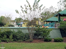 Bumper Boats
