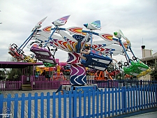 Kite Flyer