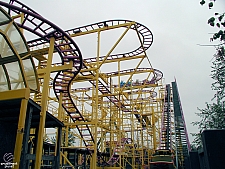 Go Bananas!