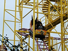 Go Bananas!