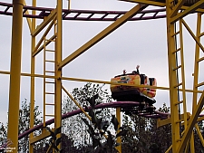Go Bananas!