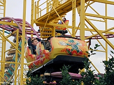 Go Bananas!