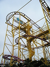 Go Bananas!