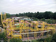 Go Bananas!