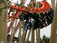 Twisted Typhoon