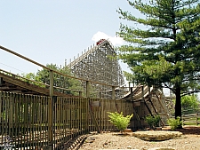 Timber Wolf