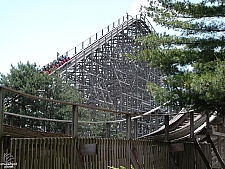 Timber Wolf