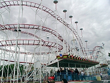 Mouse Trap