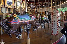 Antique Merry-Go-Round