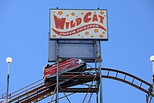 Wildcat