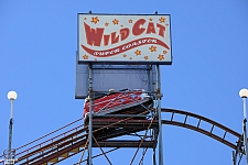 Wildcat