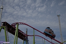 Crazy Mouse