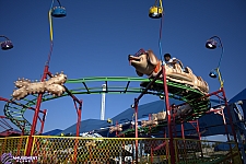 Puppy Express