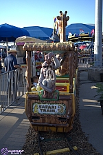 Safari Train