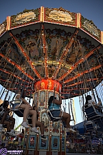 Wave Swinger