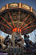Wave Swinger