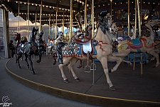 tsf25-carousel001