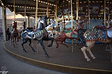 tsf25-carousel003