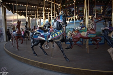 tsf25-carousel004