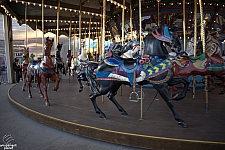 tsf25-carousel005